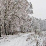 Аватар профиля Кира